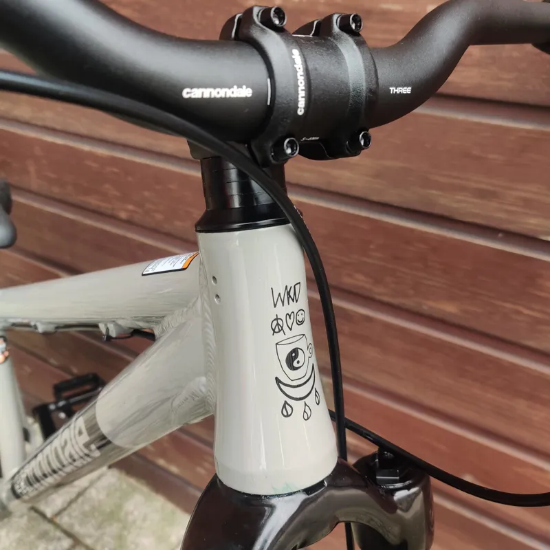 2021 Cannondale Dave Jump Bike in Grey 26 Inch Wheel-5